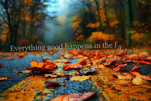 Everything good happens in the fall