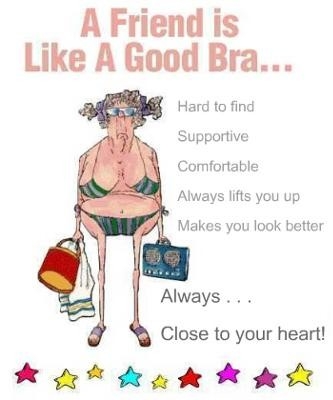 A good friend is lika a good bra